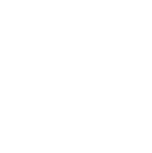 SC_Electricity_Icon_White